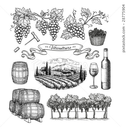 Viticulture big set. 28775904