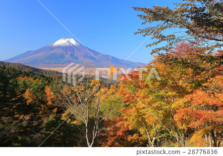 第20遍的秋葉和富士山 第20遍的秋葉和富士山 28776836