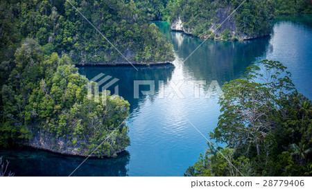 Many Rocks covered by Palmtrees in Passage between Many Rocks covered by Palmtrees in Passage between 28779406