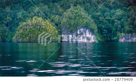 Rocks overgrown with Palmtrees in Hidden Bay on Rocks overgrown with Palmtrees in Hidden Bay on 28779409