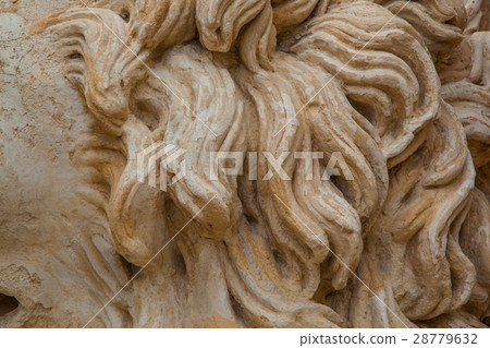 Lion rocky mane Lion rocky mane 28779632
