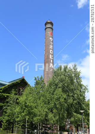 Fresh green sapporo beer garden Fresh green sapporo beer garden 28782531