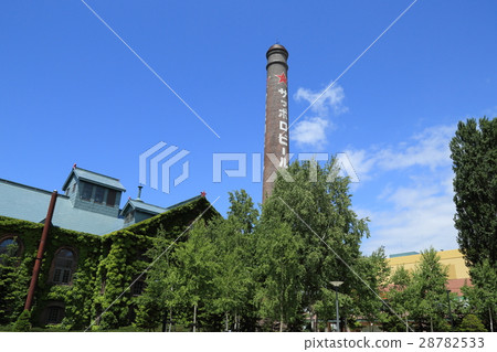 Fresh green sapporo beer garden 28782533