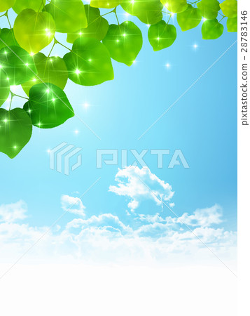  新的綠色葉子綠色背景 28783146