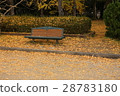 Park bench and deciduous leaves 28783180