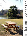 Park bench and pond 28783183