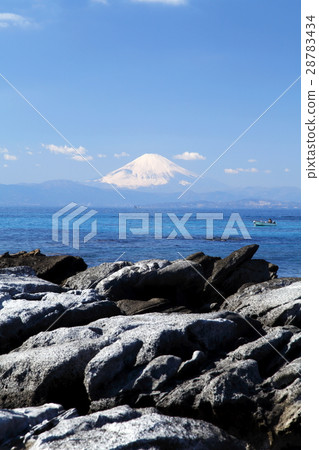 Mt. Fuji seen from Tenjin Island (Yokosuka city) Mt. Fuji seen from Tenjin Island (Yokosuka city) 28783434