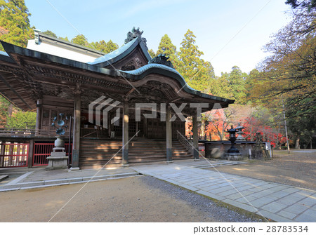 Shikoku Alien 20th Temple 15th Buddha "Chokenji Temple" The main shrine of autumn leaves 28783534