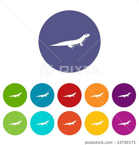 Lizard set icons Lizard set icons 28786575