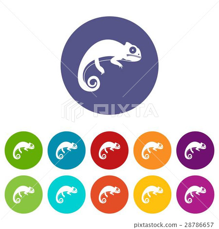 Chameleon set icons Chameleon set icons 28786657