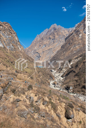 beautiful way for trekking to Annapurna base camp 28788707