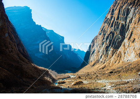 beautiful way for trekking to Annapurna base camp beautiful way for trekking to Annapurna base camp 28788708