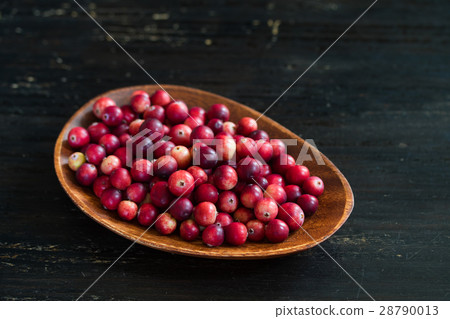 Cranberries of my home harvested ♪ 28790013