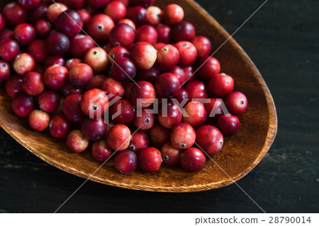 Cranberries of my home harvested ♪ 28790014