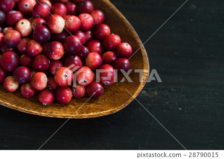Cranberries of my home harvested ♪ 28790015