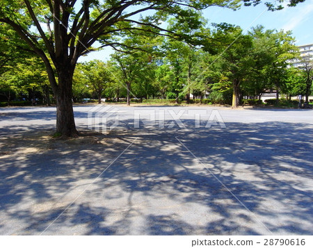 Summer park scenery Summer park scenery 28790616