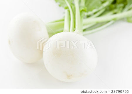 Kabu simple white · back photo Kabu simple white · back photo 28790795