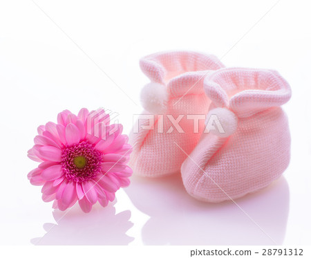 Baby socks and gerbera 28791312