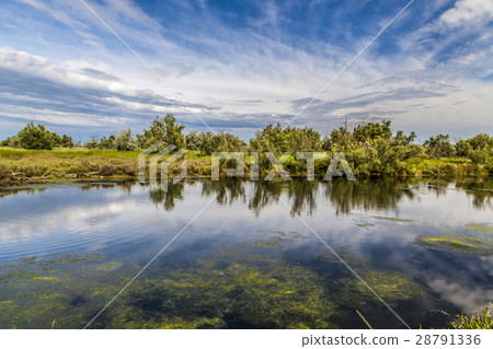 Bright summer lake with sky and clouds reflection Bright summer lake with sky and clouds reflection 28791336