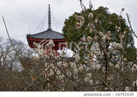 Tarokuji天壇塔 Tarokuji天壇塔 28791830