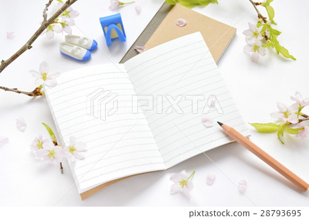 新入口的季節 28793695