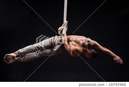 circus artist on the aerial straps man circus artist on the aerial straps man 28793966