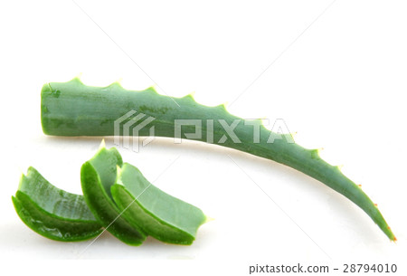 Aloe vera Aloe vera 28794010