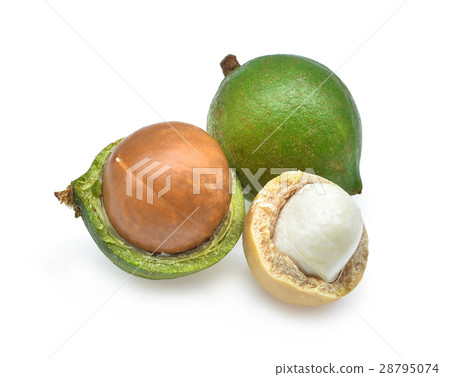 Macadamia isolated on white background 28795074