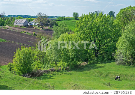 Farmstead on hillside Farmstead on hillside 28795188