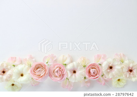 Ranunculus and sweetpea background 28797642
