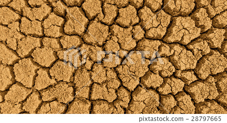 The texture of dry land. The texture of dry land. 28797665