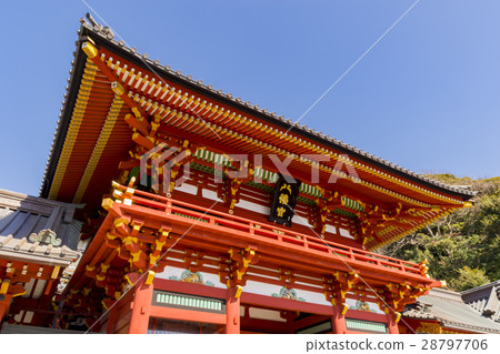 鶴岡八幡宮神社鎌倉 28797706