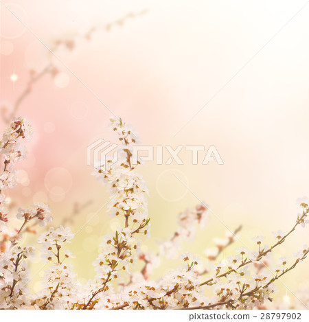 Abstract spring background Abstract spring background 28797902