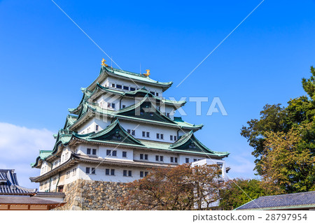 Nagoya castle in autumn 28797954