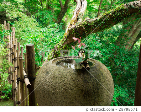 花園和手碗 28798571