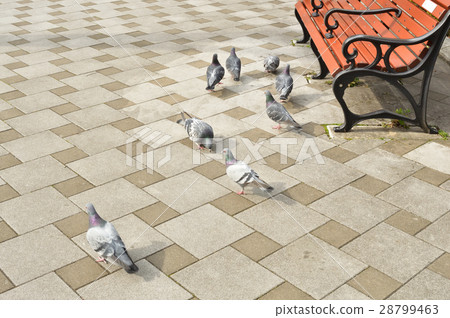 Urban park image 28799463