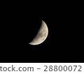 Crescent Moon  28800072