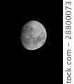 Moonlight night 28800073