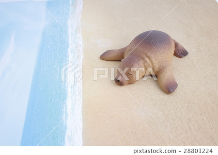 plastic sea lion toy with figure plastic sea lion toy with figure 28801224
