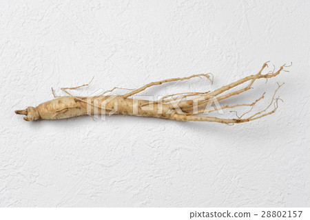 Korean ginseng Ginseng 28802157