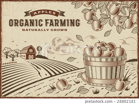 Apple Organic Farming Landscape 28802181