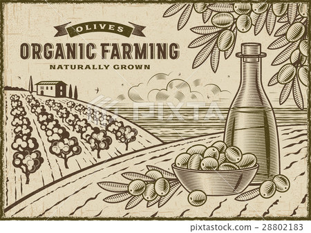 Olive Organic Farming Landscape 28802183