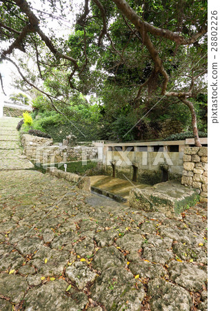 Nakamura Sugawogawa 28802226