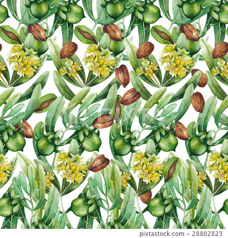 Watercolor jojoba pattern 28802823