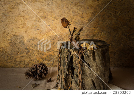 Still Life Metaphorical roses . Still Life Metaphorical roses . 28803203