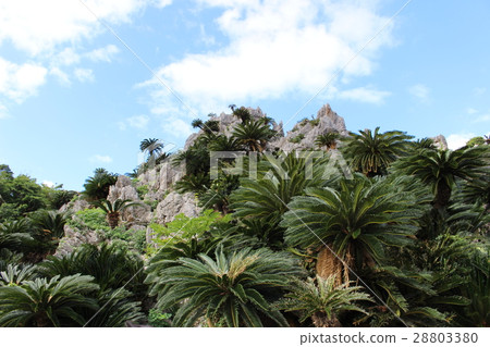 Oishi Hayashiyama 28803380