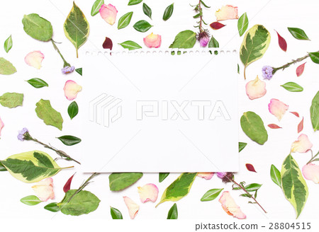 sheet of paper for text in a frame of flowers sheet of paper for text in a frame of flowers 28804515