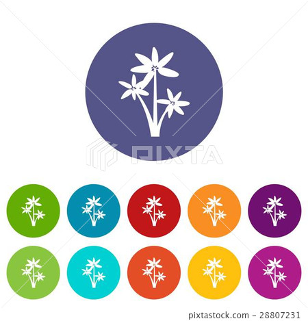 Palm tree set icons 28807231