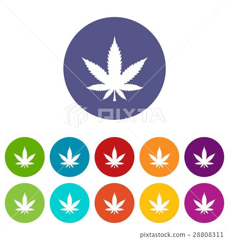 Cannabis leaf set icons Cannabis leaf set icons 28808311