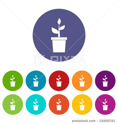 Plant in clay pot set icons Plant in clay pot set icons 28808591